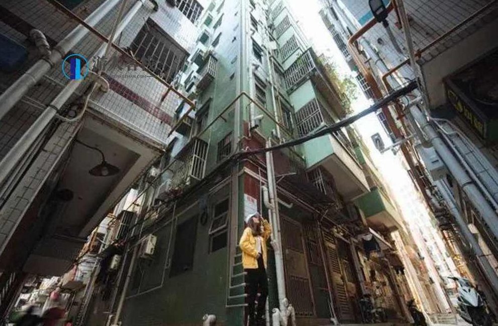 小姐研究二十年，时尚界新星，二十年研究心得,二十年时尚研究,时尚界新星,小姐研究成果,第2张