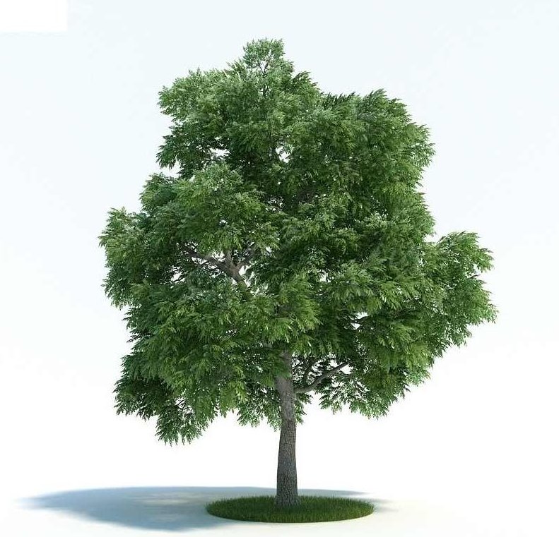 《3DMAX素材库》110CD大全,素材,CD2,第1张 《3DMAX素材库》110CD大全,素材,CD2,第1张