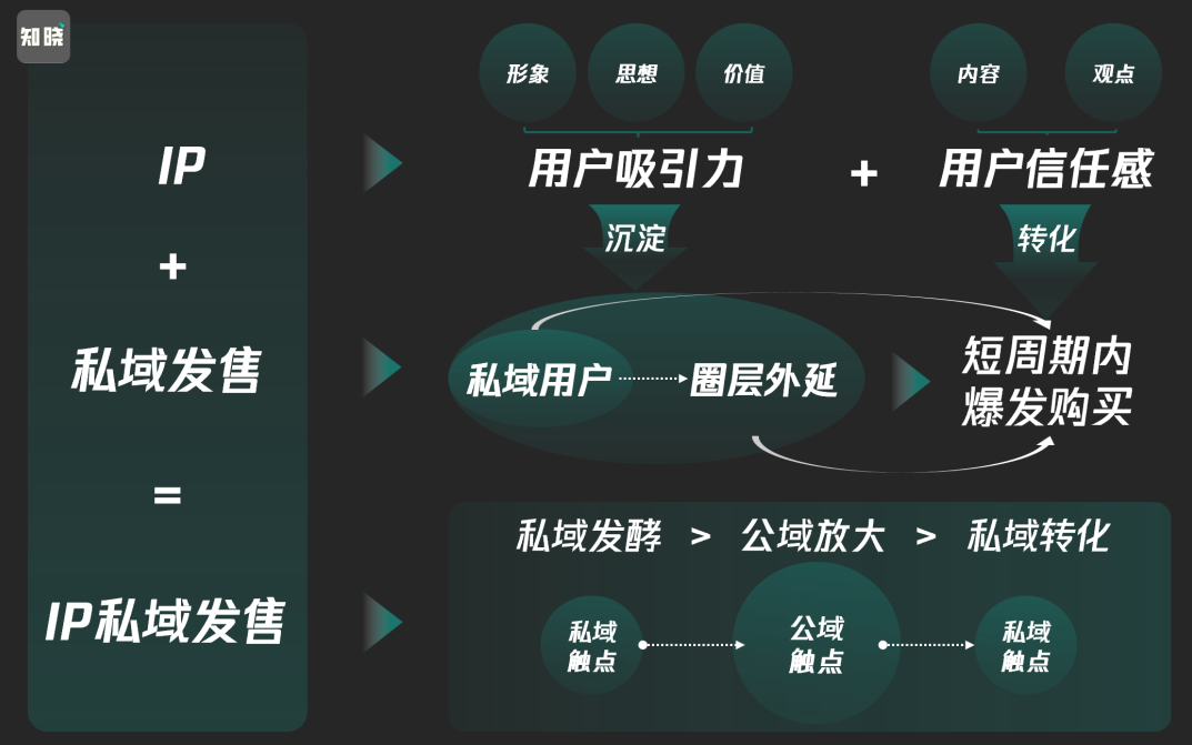 私域IP起盘，私域ip建立、起盘、高转化，打造年入千万的私域ip模型，私域流量崛起，IP打造策略赢未来,课程,设计,创业,第1张
