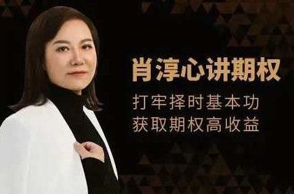 肖淳心期权基础知识系列(初级)肖淳心详解初级期权投资基础知识系列,初级,第1张