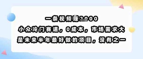 一条视频挣1k，小众冷门赛道，0成本，市场需求大，是未来半年最好做的项目，没有之一，热门冷门项目，半年内小收益，短视频零成本，小众赛道市场需求大，揭秘短视频创业，冷门赛道零成本，一视频千收入，市场需求旺盛，半年内轻松获利新机遇,视频,介绍,股票,第1张