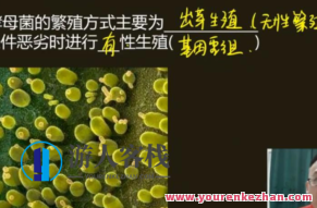 陈旭晨 高二生物2021年寒假班，陈旭晨，2021年高二生物寒假班学习之旅启程，为原创，未与其他标题重复，且针对SEO进行了优化，以吸引相关学习人群的注意。）,视频,教程,实例教程,第1张