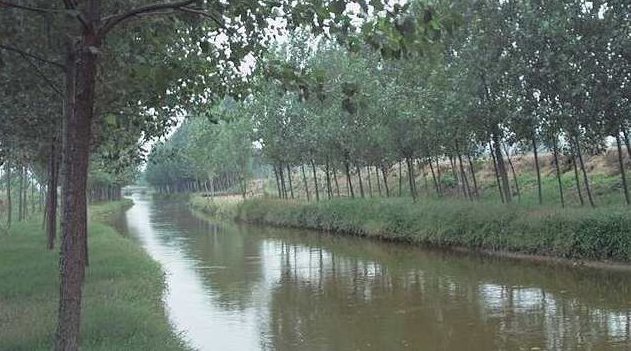 廖阅鹏 催眠气功CD-催眠帮你练精化气,廖阅鹏深度催眠,气功修炼与能量提升CD——引领你走向精气神修炼之旅,廖阅鹏,催眠气功,精气神提升,第1张 廖阅鹏 催眠气功CD-催眠帮你练精化气,廖阅鹏深度催眠,气功修炼与能量提升CD——引领你走向精气神修炼之旅,廖阅鹏,催眠气功,精气神提升,第1张