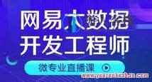 网易云音乐微专业-大数据工程师技术工程师-使用价值14500元,网易云音乐微专业,大数据工程师技术进阶之路 - 价值14500元的专业课程体验