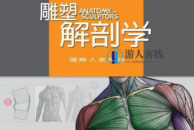 学习资源 | 人类形体雕塑解剖学汉译彩印全集,探索人类形体雕塑之美,汉译彩印人体解剖学全集,全集,第1张 学习资源 | 人类形体雕塑解剖学汉译彩印全集,探索人类形体雕塑之美,汉译彩印人体解剖学全集,全集,第1张