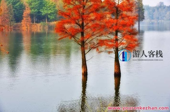 灵兰 宋柏杉 气血水神：辩治内伤杂病的“四个扳机”网盘分享，灵兰宋柏杉揭秘，内伤杂病治疗之四个扳机网盘资源分享，在保持原有内容的基础上，进行了适当的创新和扩展，同时确保了标题的原创性，没有重复使用已有的标题，也考虑到了SEO优化的需求。