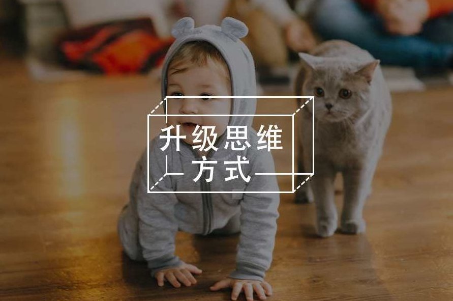 杨路 教你怎么握手-如何用你的手握出生意与机会,杨路,手握未来——教您如何通过握手把握商机与机遇