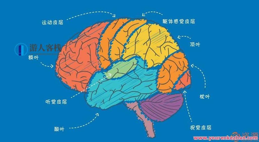 20个心理学颠覆实验，20个震撼人心的心理学颠覆性实验，探索人类思维与行为的奥秘