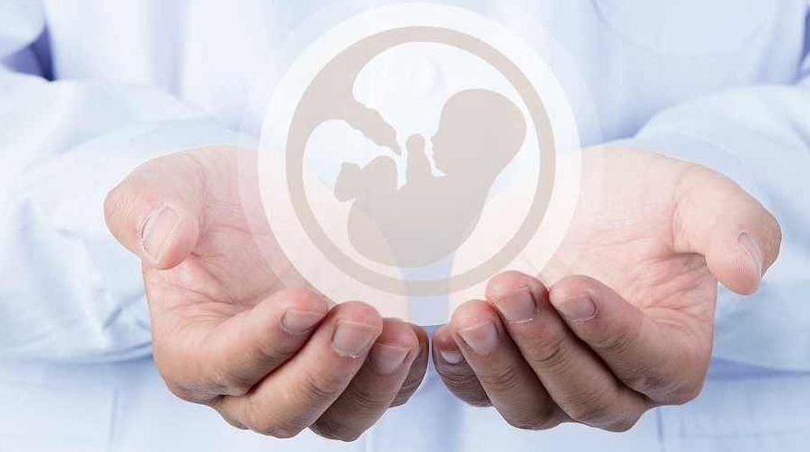 段涛 产科医学课医学知识，段涛，深化产科医学知识，探索母婴健康之道