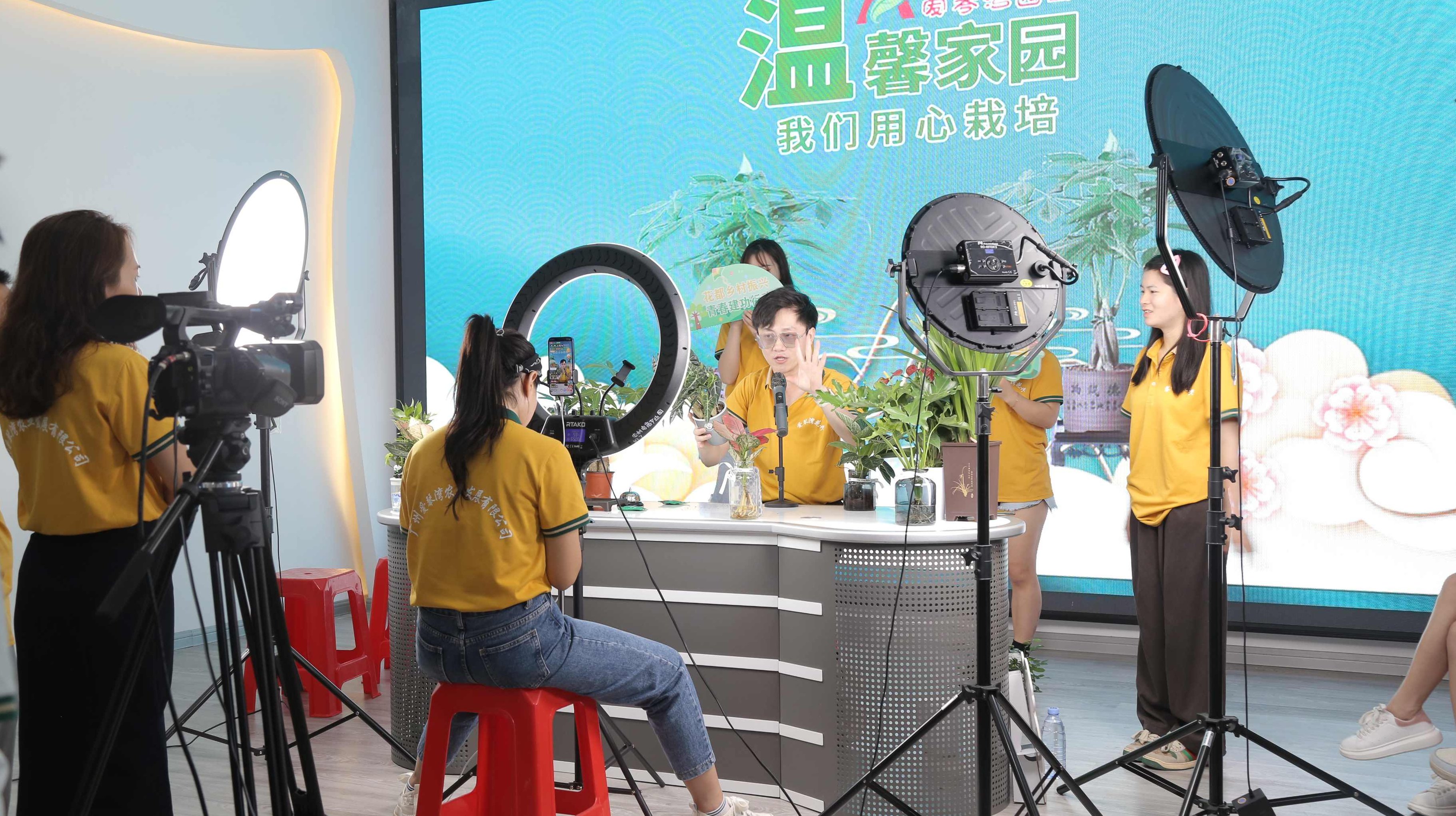 视频号分成计划实操流程，小白必学入门课，视频号分成计划实操流程，小白入门课，轻松掌握盈利秘诀