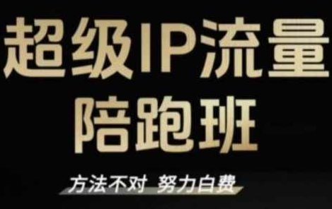 阿昱老师·超级IP流量陪跑班 流量引爆技巧，阿昱老师·超级IP流量陪跑班，深度解析流量引爆策略与实战技巧