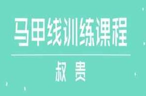 叔贵《马甲线训练课程》叔贵马甲线训练课程，高效燃脂，塑造完美身材