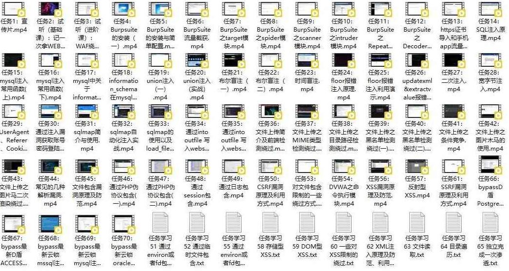 最新WEB渗透安全经过亲自测试工程师 实战就业班 价值4.5k，全新实战课程，深入解析WEB渗透安全技术——工程师实战就业班，价值4.5k亲测体验！