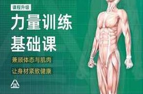 一介粗人x麦大湿《男性力量训练课程》一介粗人携手麦大湿，男性力量提升与健康训练课程