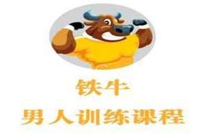 铁牛会员课程合集 铁牛延时训练法,铁牛会员专享课程,深度解析铁牛延时训练法合集,课程,视频,教程,第1张 铁牛会员课程合集 铁牛延时训练法,铁牛会员专享课程,深度解析铁牛延时训练法合集,课程,视频,教程,第1张