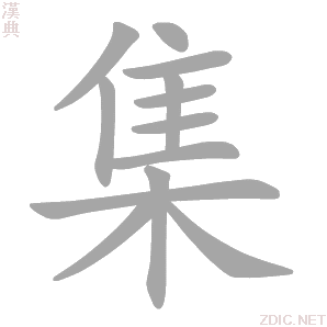 集集C4D进阶场景概念，集集C4D进阶，场景概念与实战应用解析