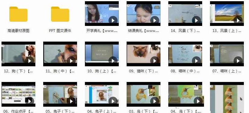 彩铅动物鸟猫狗等16讲_彩铅动物绘超详细教程，彩铅动物绘超详细教程，鸟、猫、狗等16讲及更多绘画技巧分享