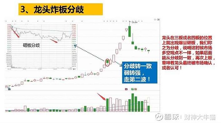买在确定，二板定龙头，买定不悔，二板显龙头之势