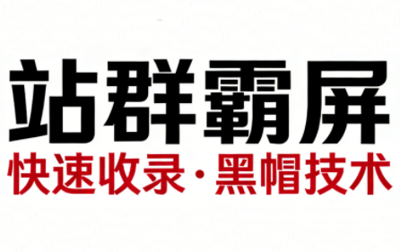 SEO野路子实战全集：快速收录、站群霸屏、黑帽技术