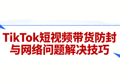 老谭TikTok短视频带货实拍课程