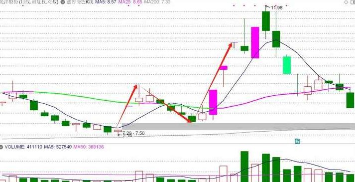 妖N战法 闭环全系统 N字视频,课程,视频,第1张