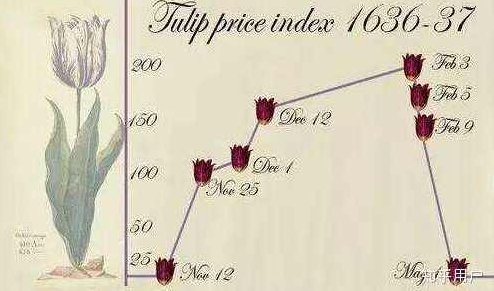 郁金香5678，花园文章1-16期，含量价筹码情绪流推演竞价体系,课程,心法,大局观,第1张