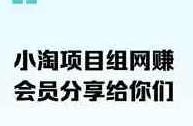 小淘项目组网赚永久会员课价格几千（更新12月）,课程,视频,教程,第1张