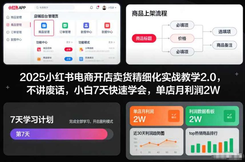 2025小红书电商开店卖货精细化实战教学2.0，不讲废话，小白7天快速学会，单店月利润2W,课程,视频,教程,第1张