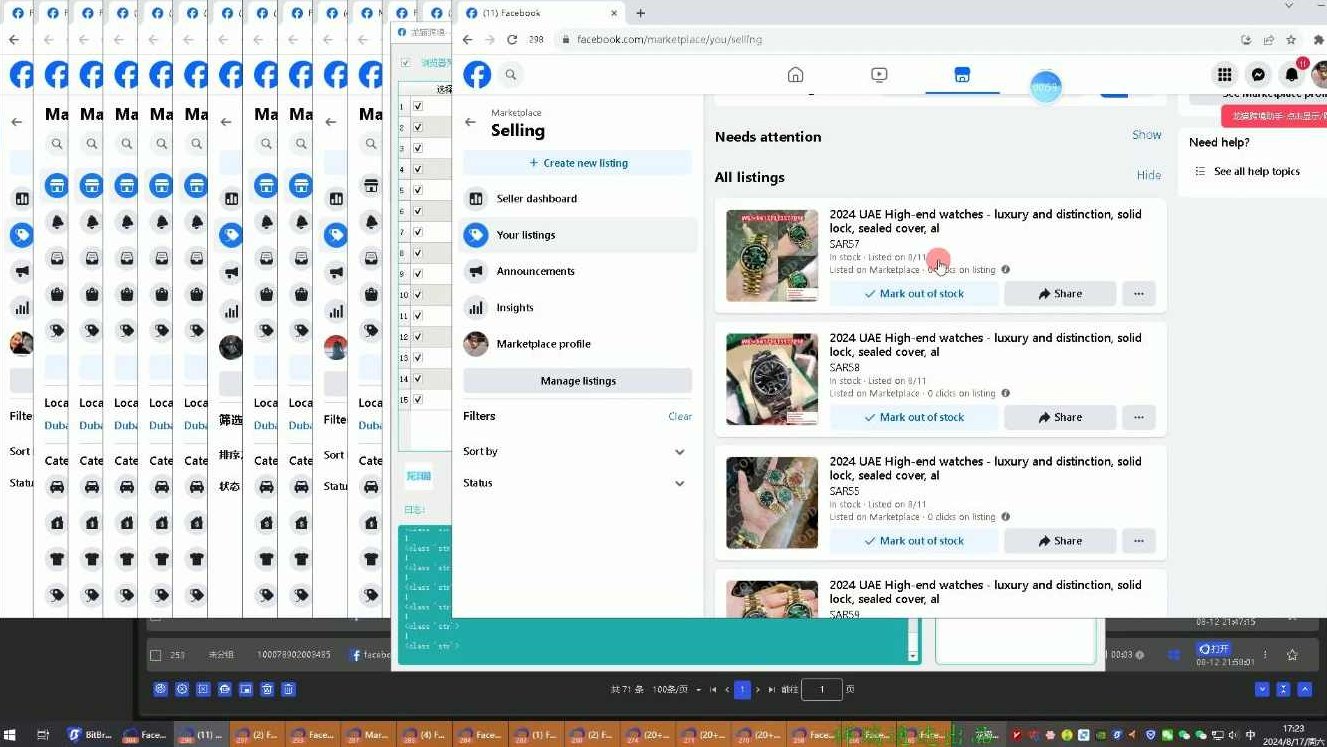 Facebook中东成人用品实战,课程,制作,资料,第2张