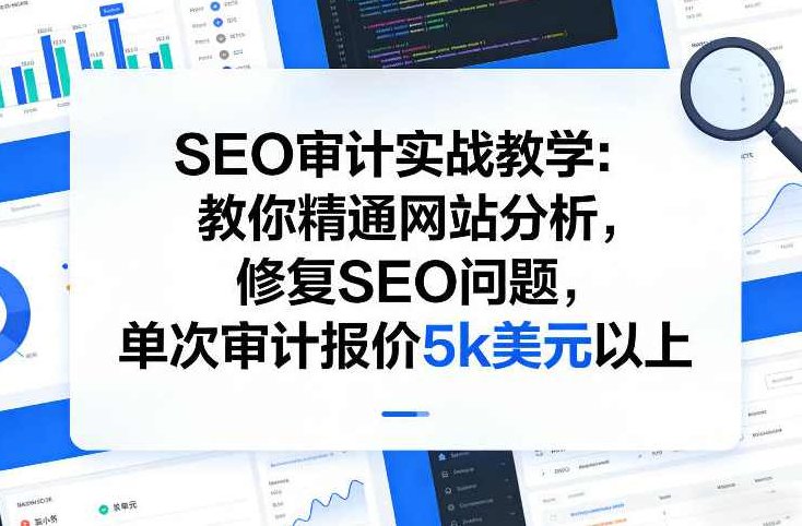 SEO审计实战教学：教你精通网站分析，修复SEO问题，单次审计报价5k美元以上,课程,视频,教程,第1张