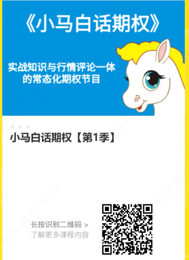 小马白话期权【第1季】,课程,股票,策略,第1张