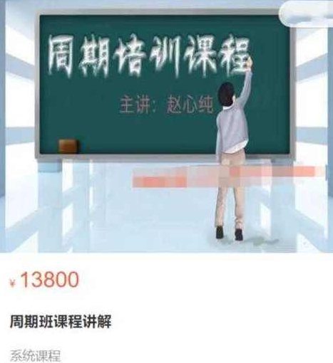 赵心纯《走进殿堂：周期班课程讲解》原价13800元