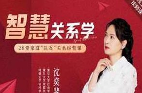 【沈奕斐新课】智慧关系（又名高质量夫妻关系）30节完整版